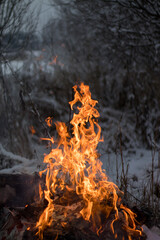 Bonfire in a cold winter day.
