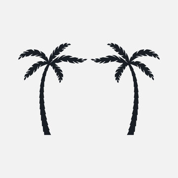 Palm trees silhouette.