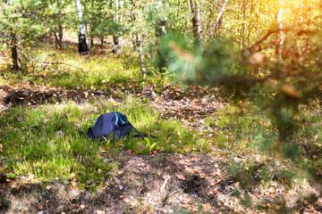 The man's backpack lies on the grass in the forest. Missing person concept. An accident in the forest. Lost mushroom picker. Attack of a wild animal. Fatal outcome. Copy space for text