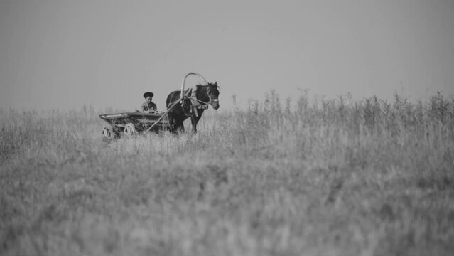 A boy rides in a wooden cart pulled by a horse