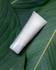 white cream tube on green leaf. mockup