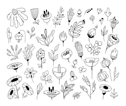 Flowers, leaves, branches and berries hand drawn folk motives, floral botanical isolated black and white clip arts, natural doodle lements for invitations, cards, blogs, vector bundle