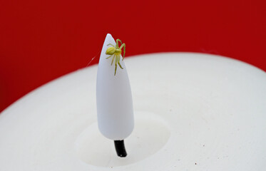 A small crab spider on a plastic flame of led candle