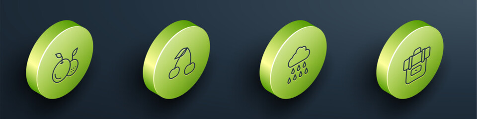 Set Isometric line Fruit, Cherry, Cloud with rain and Hiking backpack icon. Vector