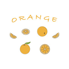 Collection with yellow orange and a piece of orange on white background. Continuous one art design.