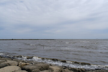 濁った東京湾　Muddy Tokyo Bay