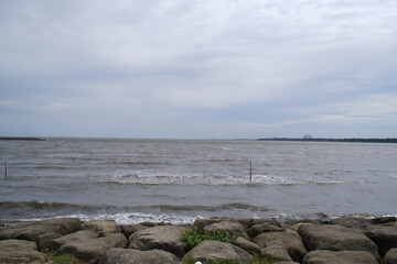 濁った東京湾　Muddy Tokyo Bay