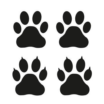 Icono de huellas de perro y o gato sobre un fondo blanco liso y aislado. Vista de frente y de cerca
