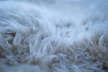 Backgrounds and Object Pattern Textures