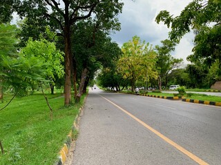 Roadside Greenery Scenery, Beautiful tree lined road, A road passes through the trees, Tree covered road, Green city.