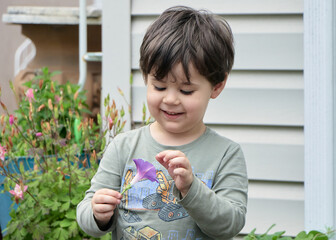 Cute baby boy playing with a flower in the backyard