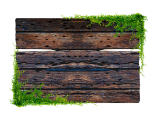 Dark brown antique plank frame background with tropical leaves and climbing vines on plank edges. Isolate on transparent background PNG file.