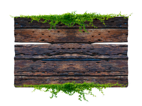 Dark brown antique plank frame background with tropical leaves and climbing vines on plank edges. Isolate on transparent background PNG file.