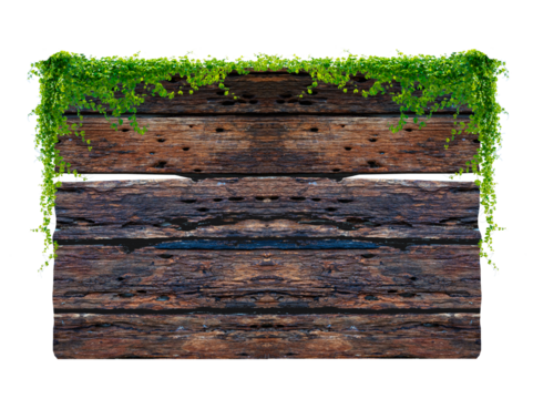 Dark brown antique plank frame background with tropical leaves and climbing vines on plank edges. Isolate on transparent background PNG file.