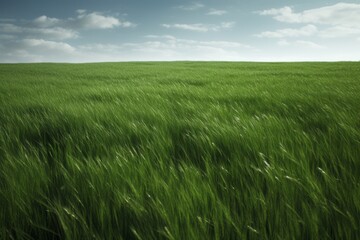 Fototapeta premium Green grass field and sky. Generative AI