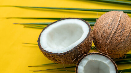Coconut half with palm leaf on yellow background