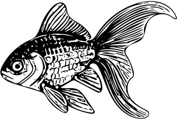 black and white fish 
