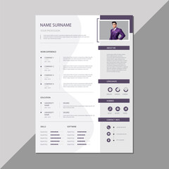 Infographic Cv template.Classy employment interview minimalist sample simple applications resume creative vector illustration design.professional corporate company job modern cover curriculum vitae