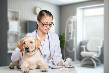 Fototapeta na wymiar Young Veterinarian Petting a Dog in clinic
