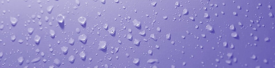 rain drops on the window