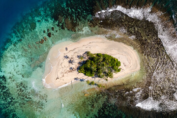 Isla desierta remota oceano pacifico polynesia francesa palmeras paraiso