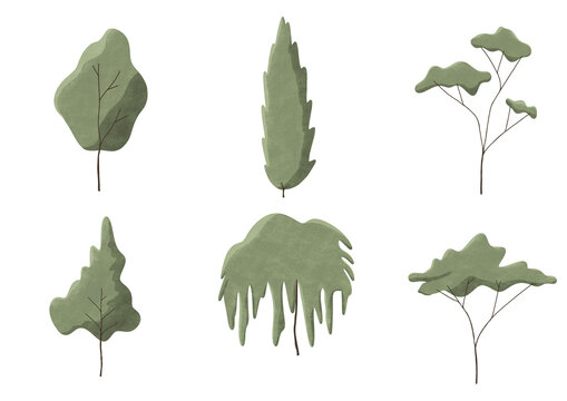 Trees 