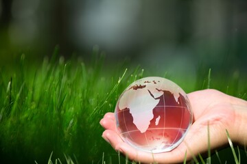 Environment Concept, Earth globe in Forest