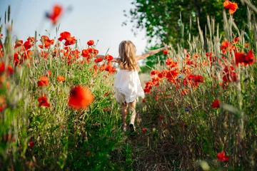 Fotobehang girl in poppy field © Alena Vilgelm