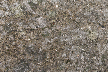 old grungy texture