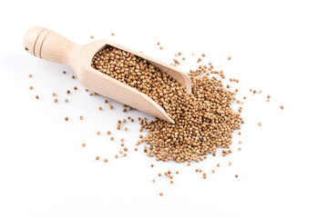 Coriander seeds in wooden scoop