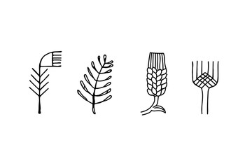 Sketch of cereal ears of grain drawn by hand.