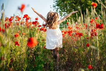 little child in poppy field