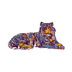 tiger color sketch with edge lines and transparent background
