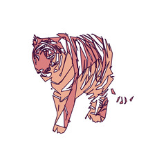 tiger color sketch with edge lines and transparent background