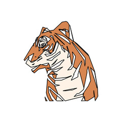 tiger color sketch with edge lines and transparent background