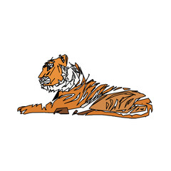 tiger color sketch with edge lines and transparent background