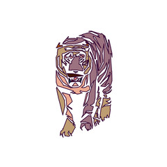 tiger color sketch with edge lines and transparent background