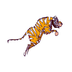 tiger color sketch with edge lines and transparent background