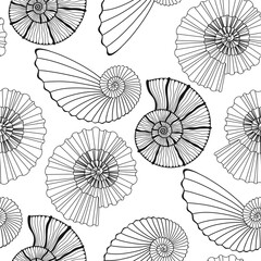 Seamless vector pattern with  seashells. Nature background. Line art. Black and white.  Perfect for wallpaper, wrapping, fabric and textile. - 624889127