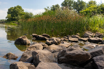 Summer sunny landscape. Rest by the river.