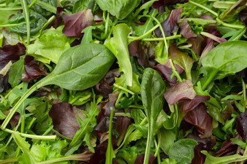 Fresh mix of salads with edible flowers. Top view.