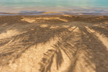 Palm leaf shadows on sand on tropical paradise idyllic beach on shore in sunny day. Natural nature background. Copy space