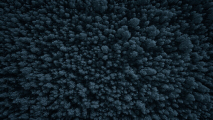 Aerial view of a dark  winter snow-covered pine forest. Winter forest texture. Aerial view. Aerial drone view of a winter landscape. Snow covered forest. Aerial photography winter texture background