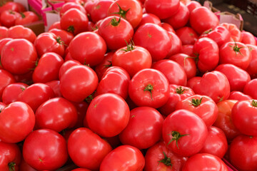 Showcase on which tomatoes are laid out, top view. food market