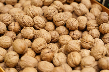 Background with many walnuts. Background