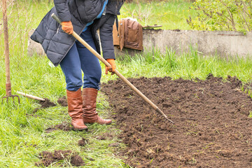 A farmer woman loosens the ground in a garden bed in a personal plot in early spring.
