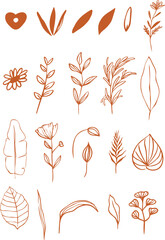 Vector handrawn flowers and leaves 
