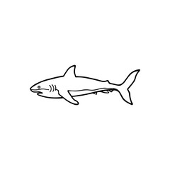white shark concept vector illustration