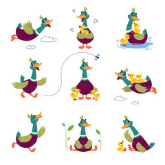 Funny Dabbling Duck Character Engaged in Different Activity Vector Set
