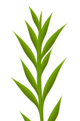 Naklejka premium leaves isolated on white background, generative ai